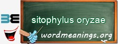 WordMeaning blackboard for sitophylus oryzae